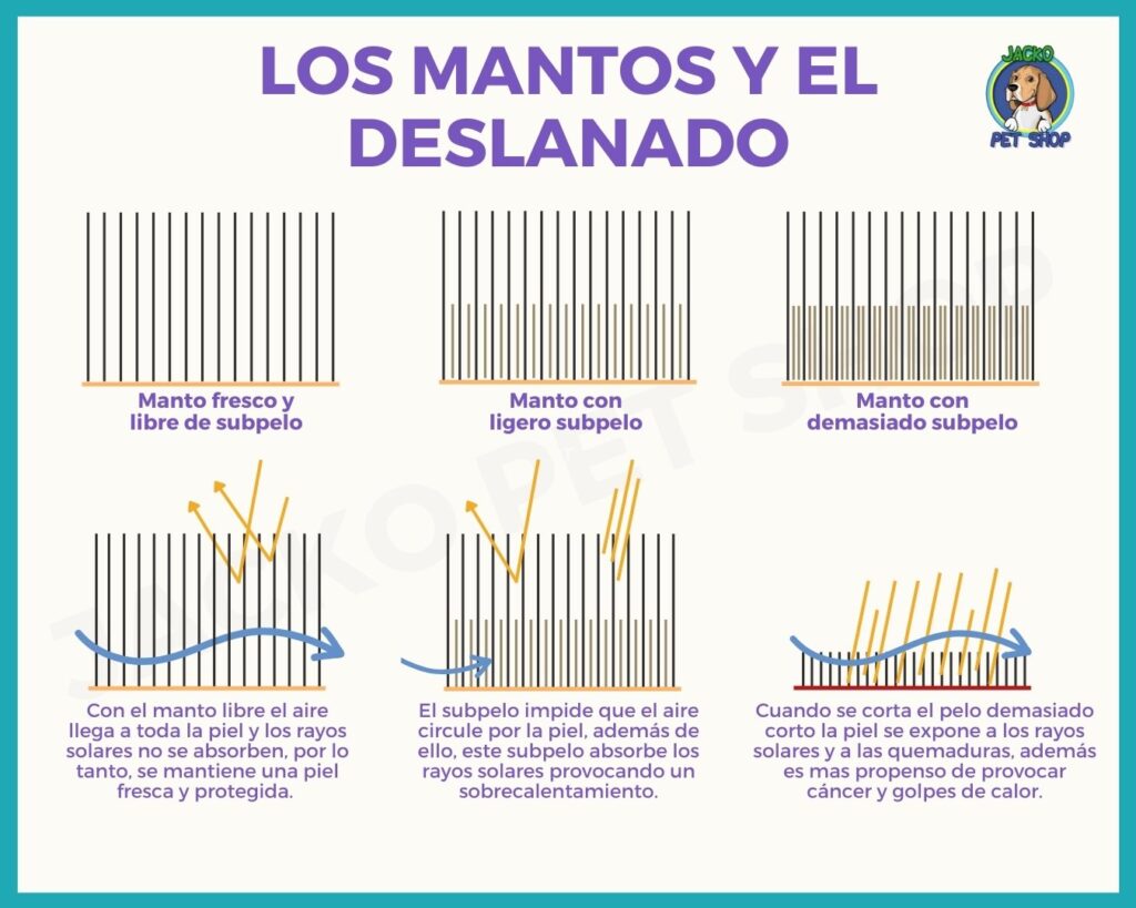 Descripción gráfica de mantos de pelo de perro y deslanado